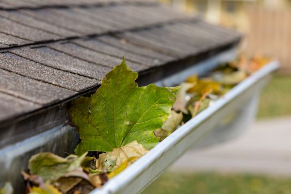 Professional Gutter Leaves Removal